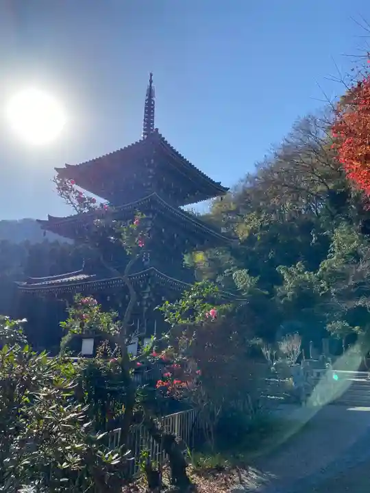 浄発願寺(神奈川県)
