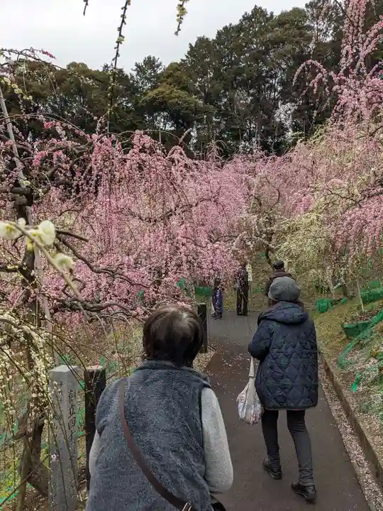 大縣神社の庭園