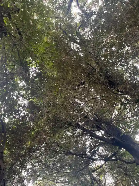 岩槻久伊豆神社(埼玉県)
