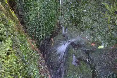 慈照寺（慈照禅寺・銀閣寺）(京都府)
