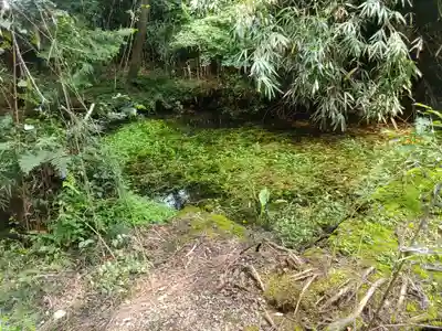 玉藻稲荷神社の自然