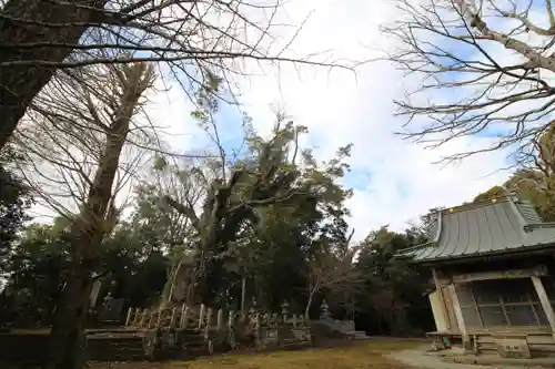 宗閑寺の建物その他