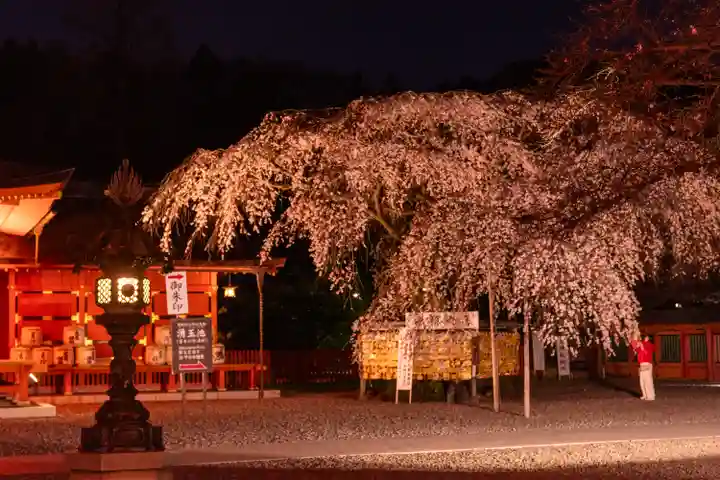 富士山本宮浅間大社(静岡県)