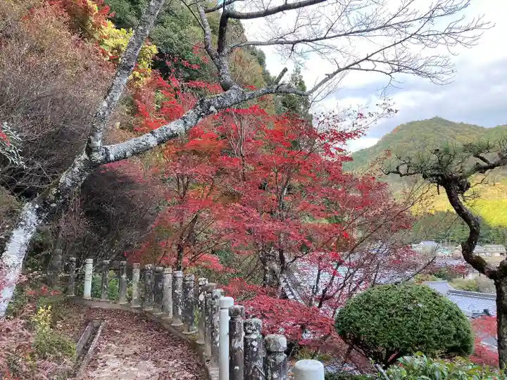 金剛城寺の自然