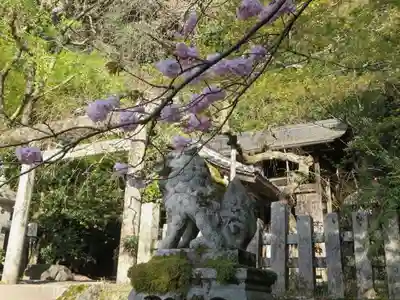 大豊神社(京都府)