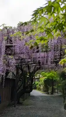 長岡天満宮(京都府)
