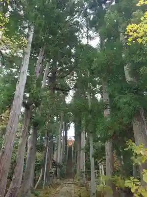 春日神社(新潟県)