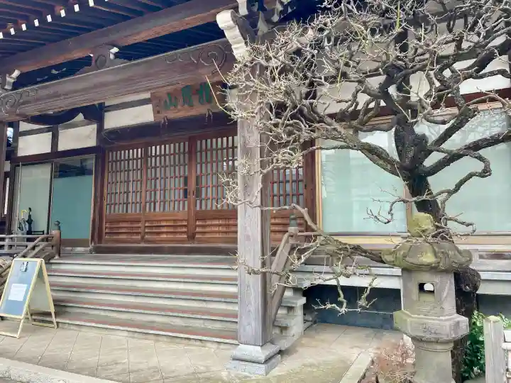 浄桂院の{uncategorized: "未分類", other: "その他", undefined: "問題あり", building: "その他建物", grave: "お墓", sacred_gate: "鳥居", guardian: "狛犬", statue: "像", buddha: "仏像", history: "歴史", nature: "自然", garden: "庭園", animal: "動物", pagoda: "塔", temizu: "手水舎", mountain_gate: "山門・神門", sanctuary: "本殿・本堂", subordinate: "末社・摂社", art: "芸術", scenery: "景色", jizo: "地蔵", ema: "絵馬", goshuin: "御朱印", omikuji: "おみくじ", items: "授与品その他", amulet: "お守り", goshuincho: "御朱印帳", eats: "食事", festival: "お祭り", votive_dance: "神楽", shichigosan: "七五三参", wedding: "結婚式", experience: "体験その他", initially: "初詣", around: "周辺", anti_infection: "感染症対策"}