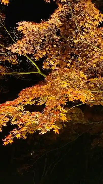 知恩院(京都府)