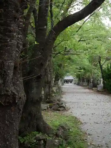 冨士御室浅間神社のその他建物
