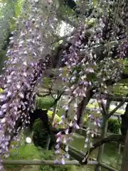 亀戸天神社の庭園