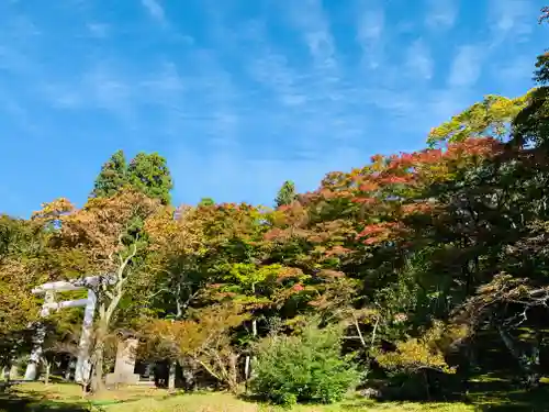 土津神社｜こどもと出世の神さまの景色