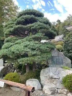 玉泉寺(埼玉県)