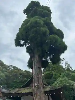 大神神社(奈良県)
