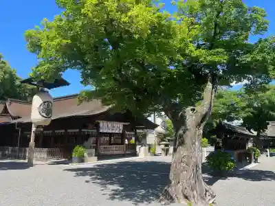 尾張大國霊神社(国府宮)の{uncategorized: "未分類", other: "その他", undefined: "問題あり", building: "その他建物", grave: "お墓", sacred_gate: "鳥居", guardian: "狛犬", statue: "像", buddha: "仏像", history: "歴史", nature: "自然", garden: "庭園", animal: "動物", pagoda: "塔", temizu: "手水舎", mountain_gate: "山門・神門", sanctuary: "本殿・本堂", subordinate: "末社・摂社", art: "芸術", scenery: "景色", jizo: "地蔵", ema: "絵馬", goshuin: "御朱印", omikuji: "おみくじ", items: "授与品その他", amulet: "お守り", goshuincho: "御朱印帳", eats: "食事", festival: "お祭り", votive_dance: "神楽", shichigosan: "七五三参", wedding: "結婚式", experience: "体験その他", initially: "初詣", around: "周辺", anti_infection: "感染症対策"}