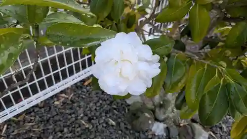 長楽寺の自然