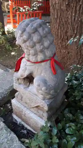 田無神社の狛犬