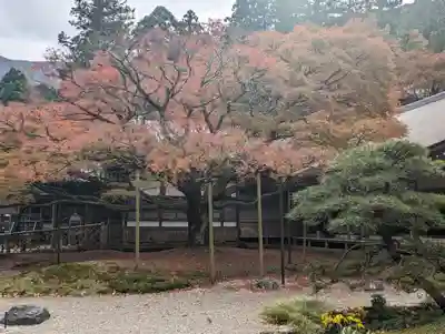 千如寺大悲王院(福岡県)