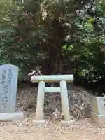 日枝神社(千葉県)