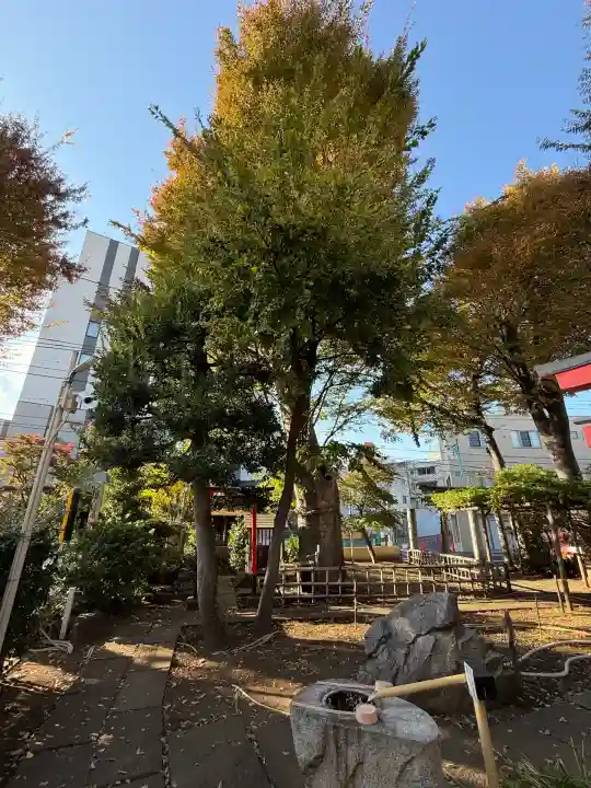 阿佐谷弁天社(東京都)