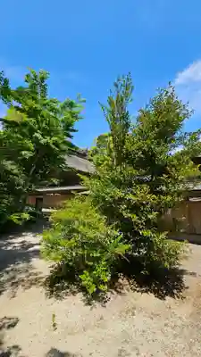 大洗磯前神社(茨城県)
