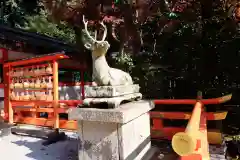 大原野神社(京都府)