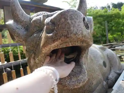 三室戸寺の狛犬