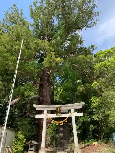 大國主神社の鳥居