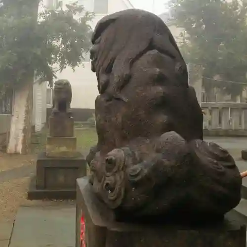 白髭神社の狛犬