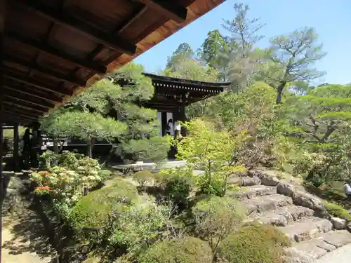 仁和寺の庭園