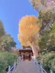 走水神社の建物その他