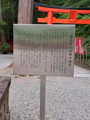 多賀大社(滋賀県)