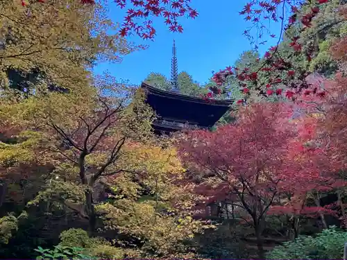 金剛輪寺(滋賀県)