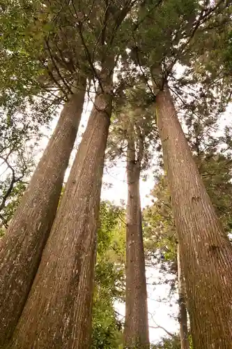 横倉宮(高知県)