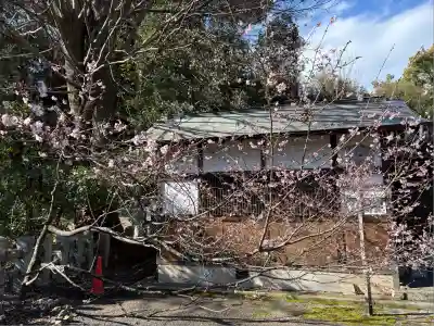 平野神社(京都府)