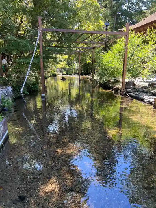 賀茂御祖神社(下鴨神社)(京都府)