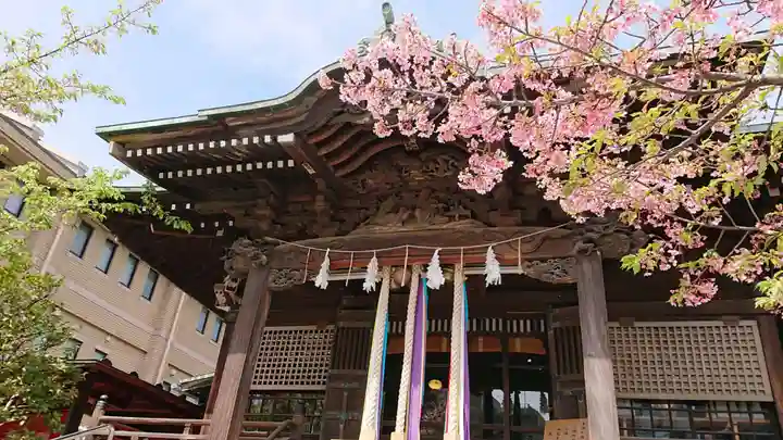 桜神宮の本殿・本堂