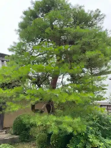 當麻寺中之坊(奈良県)