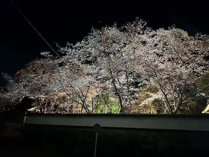 木舟山 順教寺(広島県)
