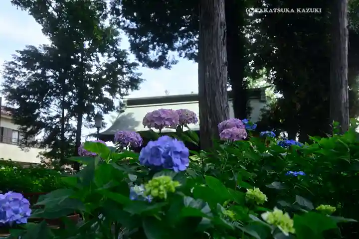 仙波東照宮(埼玉県)