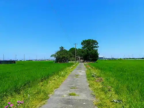 八幡社（落合八幡社）の自然