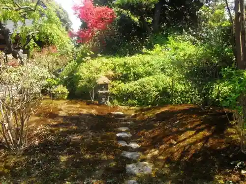 海蔵寺の庭園