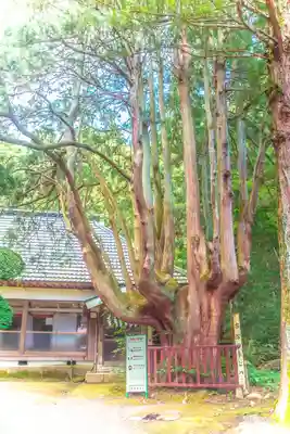 八幡神社(宮城県)