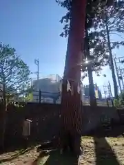 八坂神社(神奈川県)