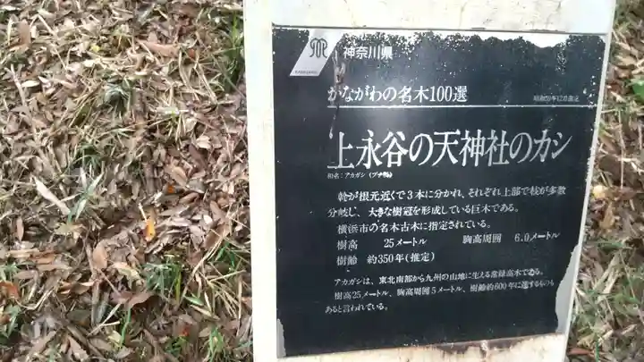 永谷天満宮(神奈川県)