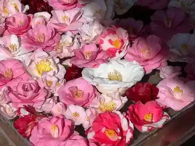 霊鑑寺門跡(京都府)