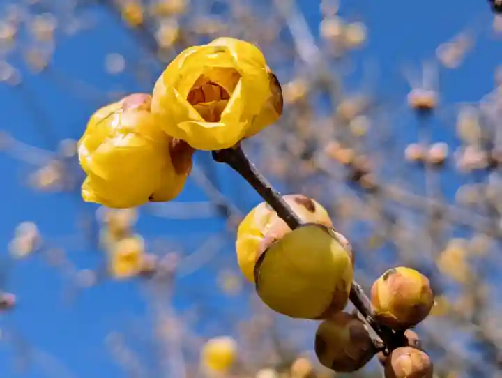 横浜 西方寺(神奈川県)