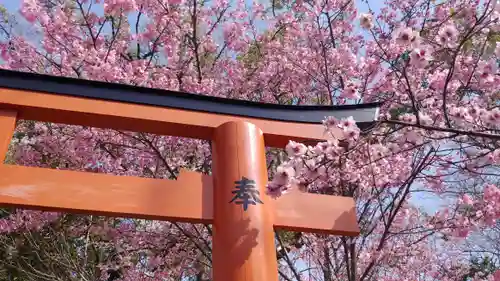 平野神社の自然