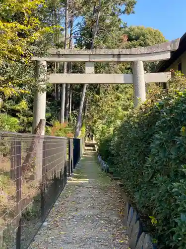 隨心院（随心院）の鳥居