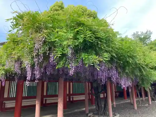 日枝神社の庭園